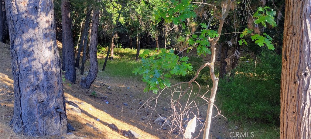 0 Grass Valley Property Photo 7