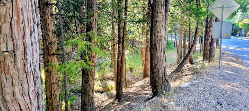 0 Grass Valley Property Photo 8