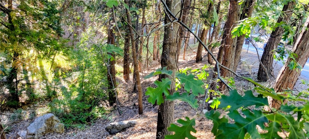 0 Grass Valley Property Photo 9