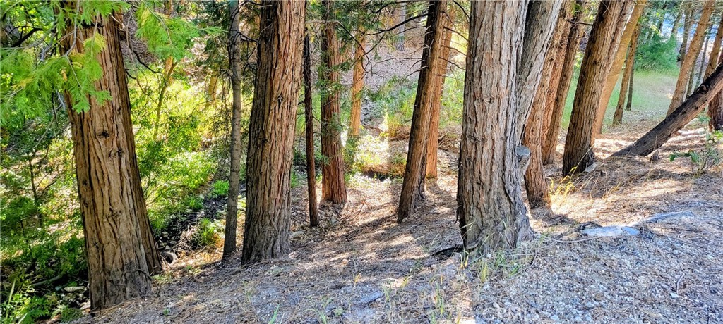 0 Grass Valley Property Photo 10