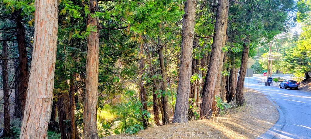 0 Grass Valley Property Photo 11