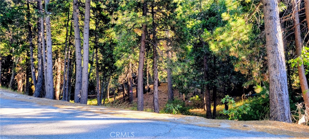 0 Grass Valley Property Photo 12