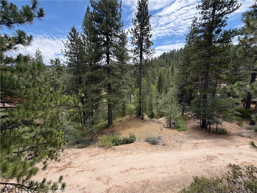 32715 Willow Property Photo 28