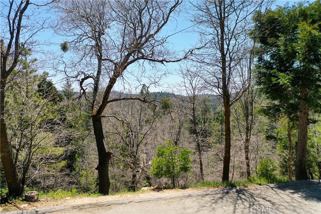 0 Old Toll Property Photo 2