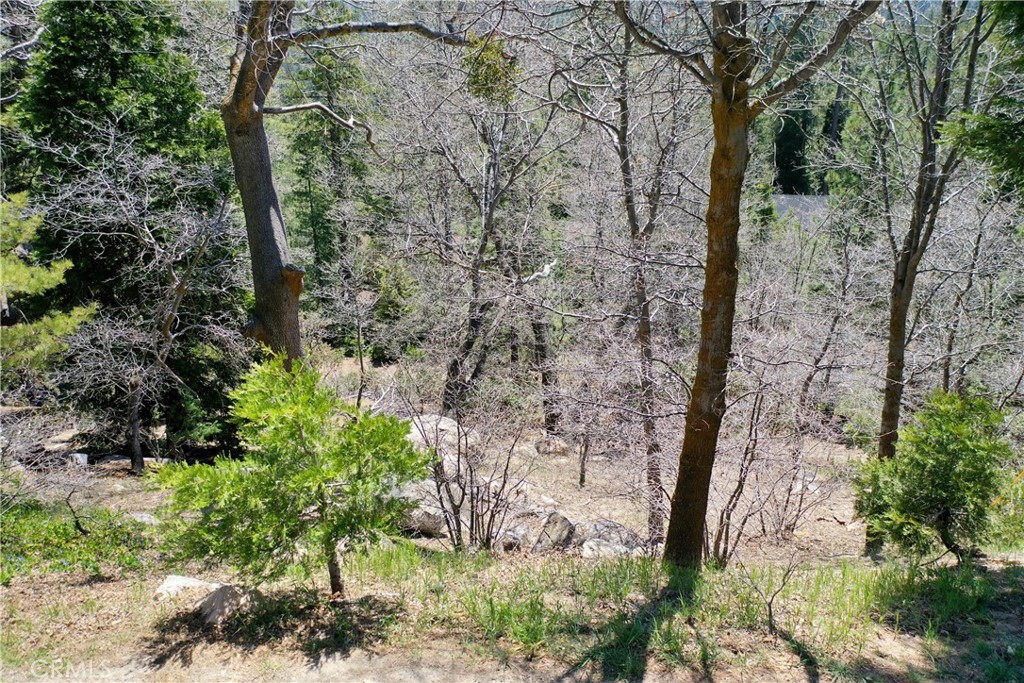 0 Old Toll Property Photo 6