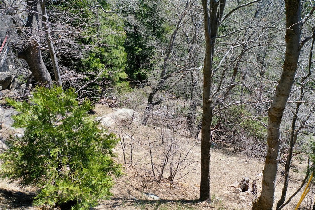 0 Old Toll Property Photo 7