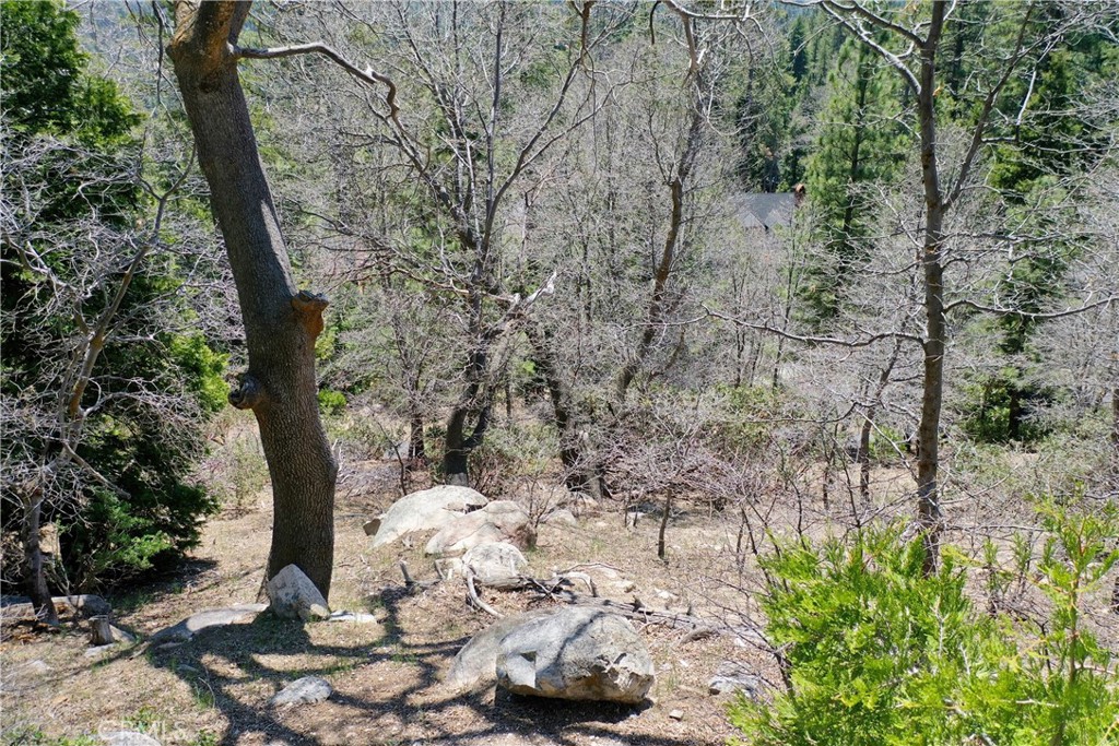 0 Old Toll Property Photo 8