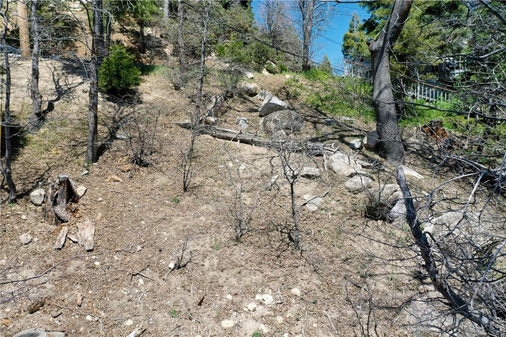 0 Old Toll Property Photo 9