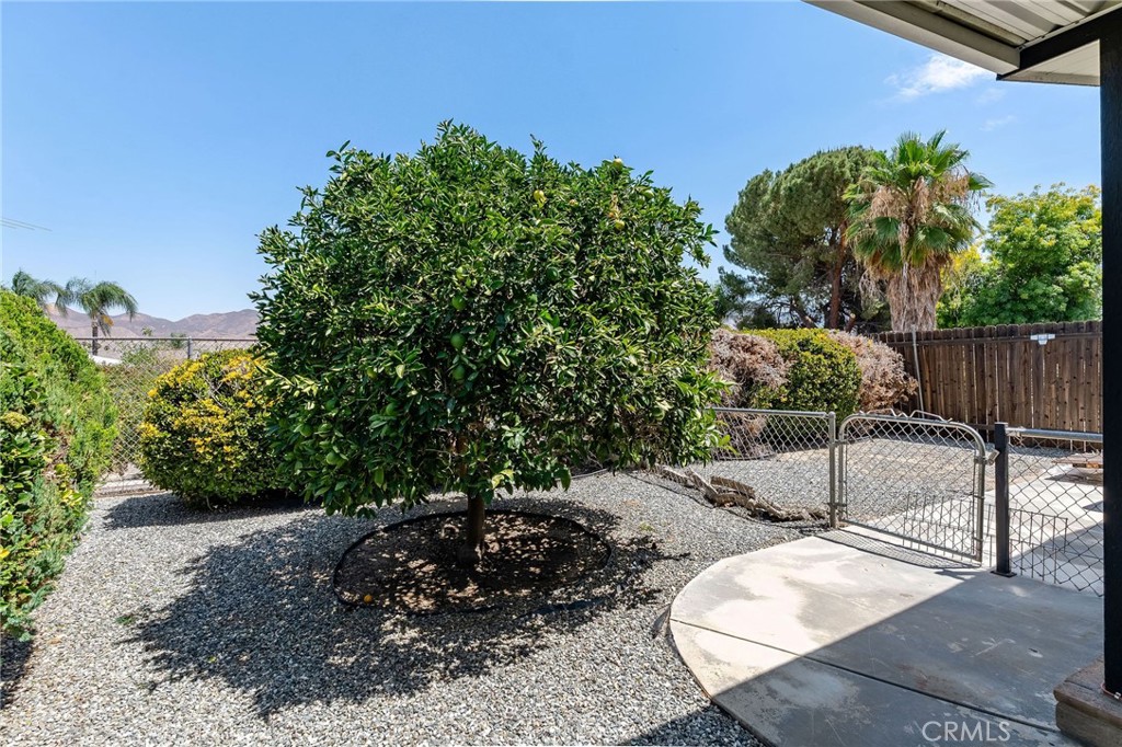 43560 Holder Property Photo 25
