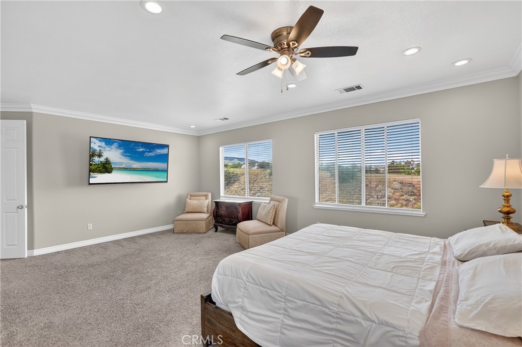 3928 Via Miguel Property Photo 39