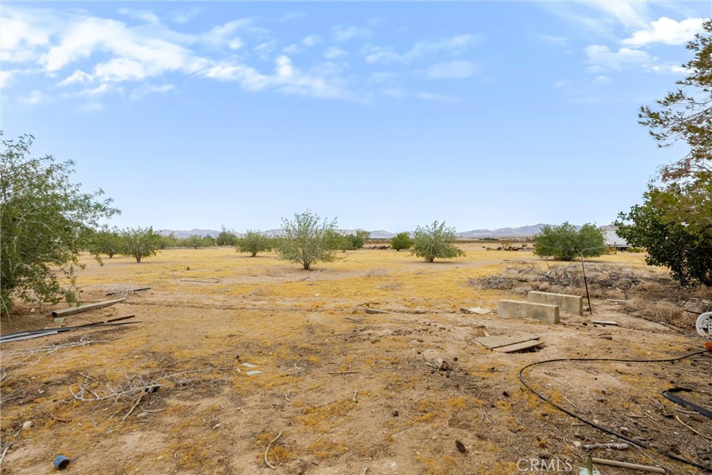 38484 Foothill Road Property Photo 18