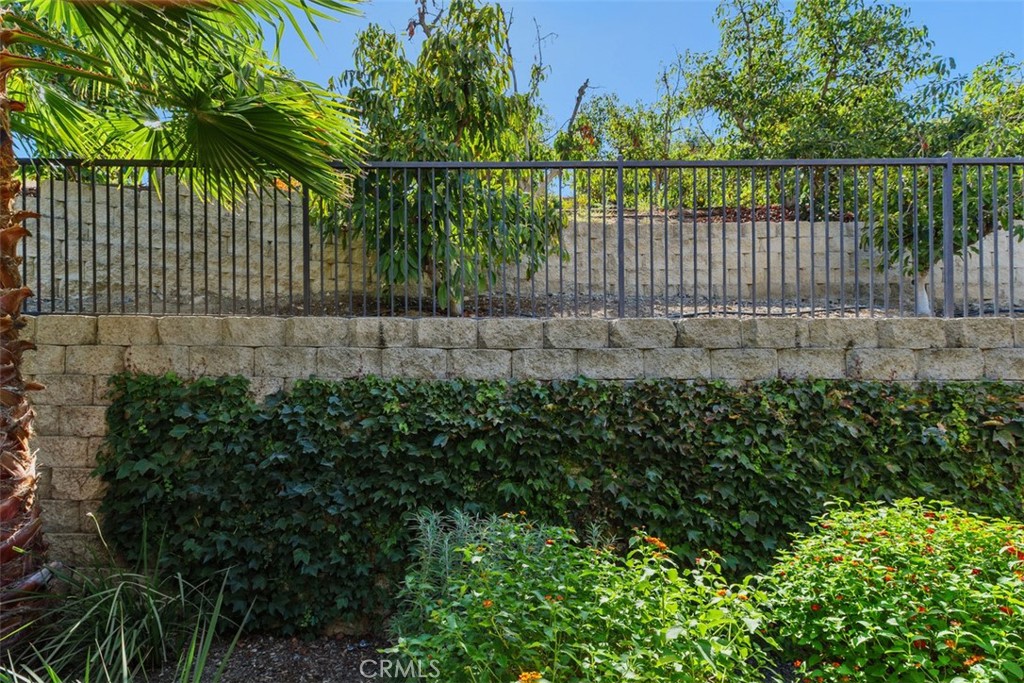 24251 Augusta Property Photo 19