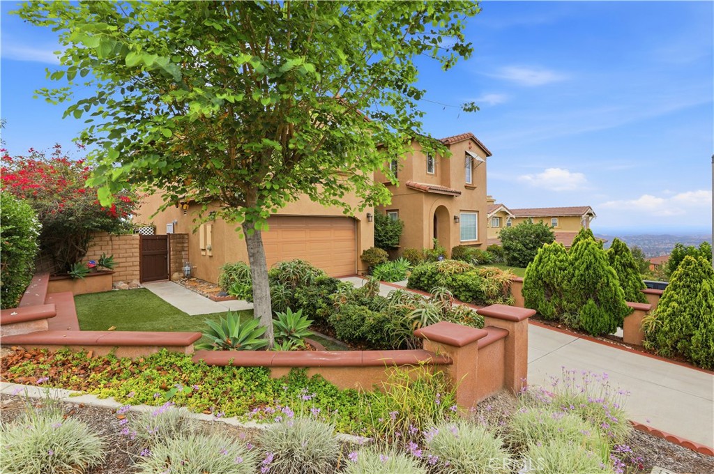 15979 Skyridge Property Photo 6