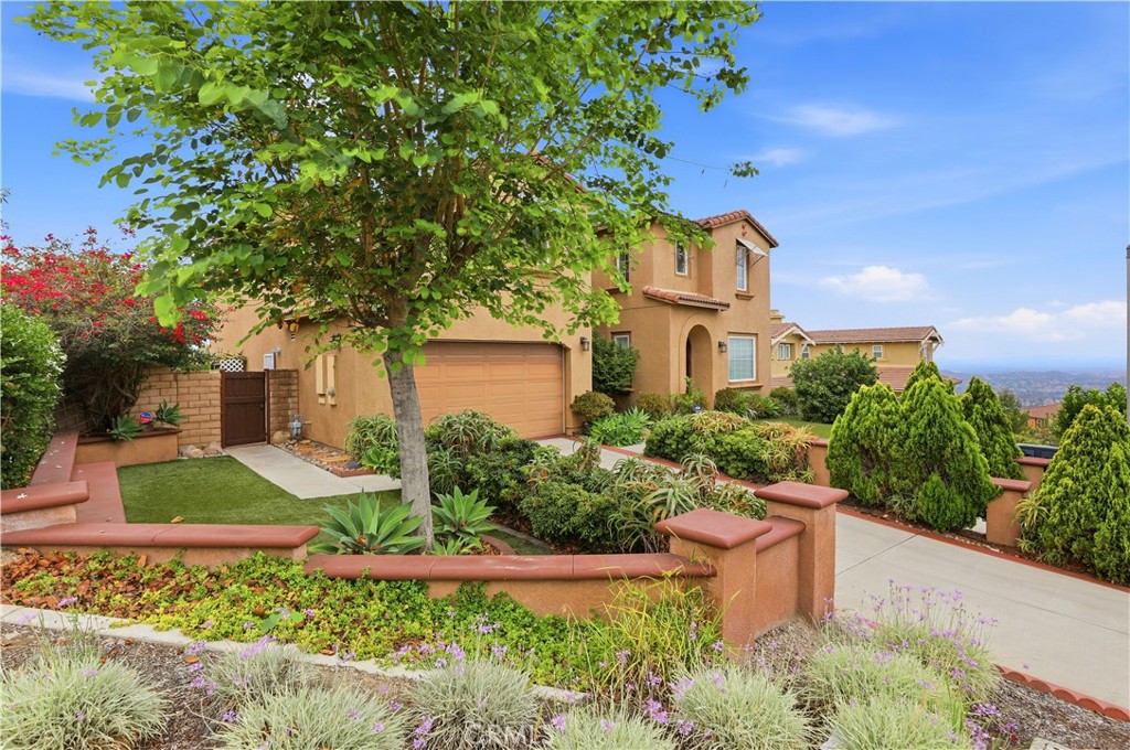 15979 Skyridge Property Photo 6