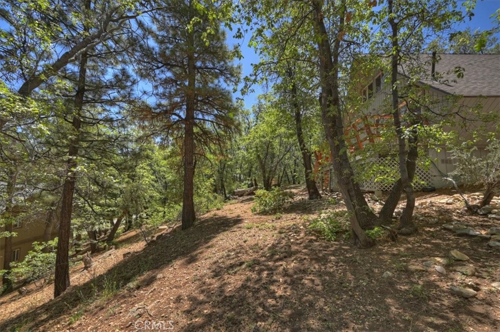 1710 Canyon Crest Property Photo 28