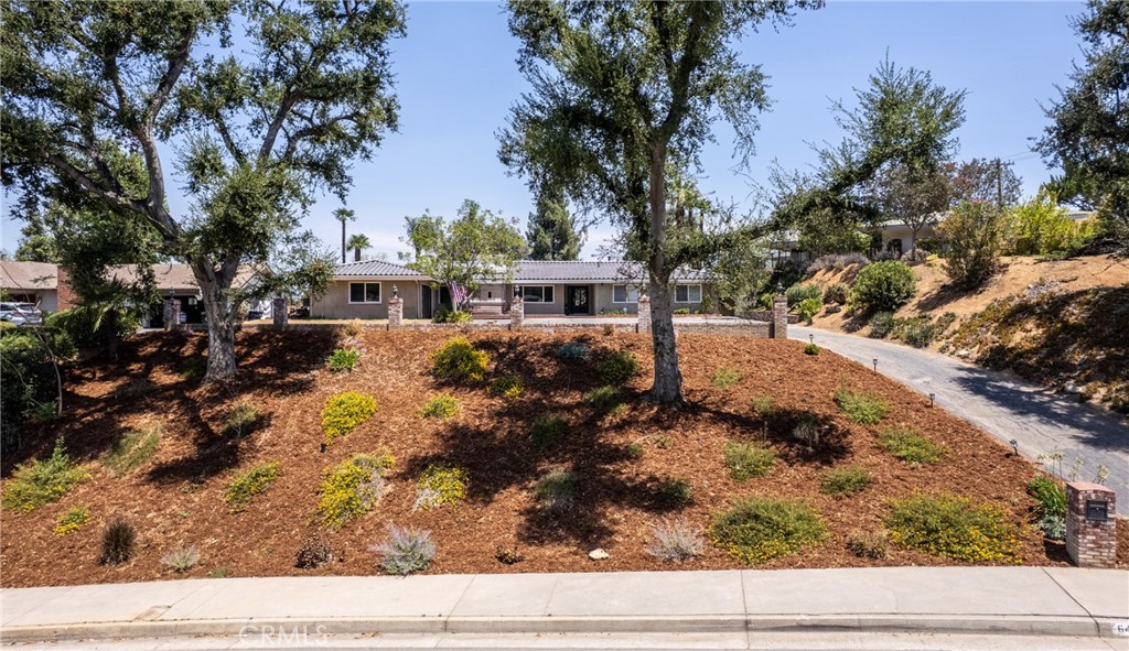 645 Los Altos Property Photo 1