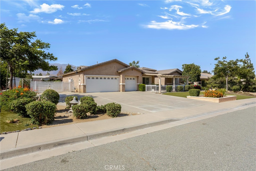 1469 Adam Property Photo 4