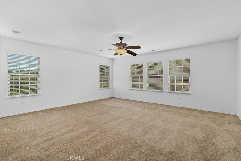 11303 Apple Canyon Lane Property Photo 22