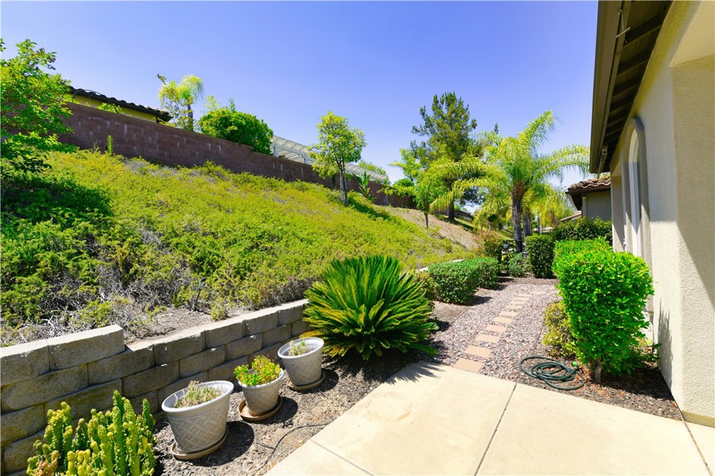 23915 Augusta Property Photo 19