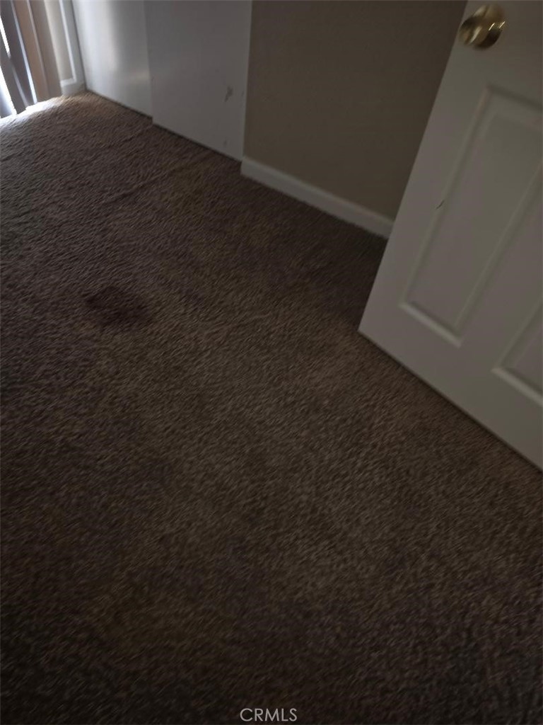 9793 Caldaro Property Photo 12