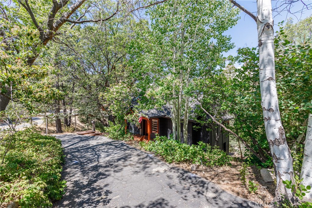 1384 Golden Rule Property Photo 28
