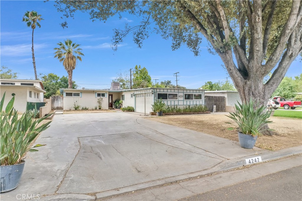 4242 Eileen Property Photo 1