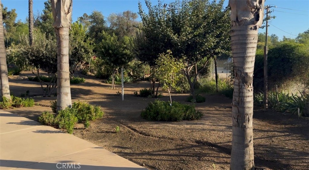 24720 Quail Run Property Photo 16