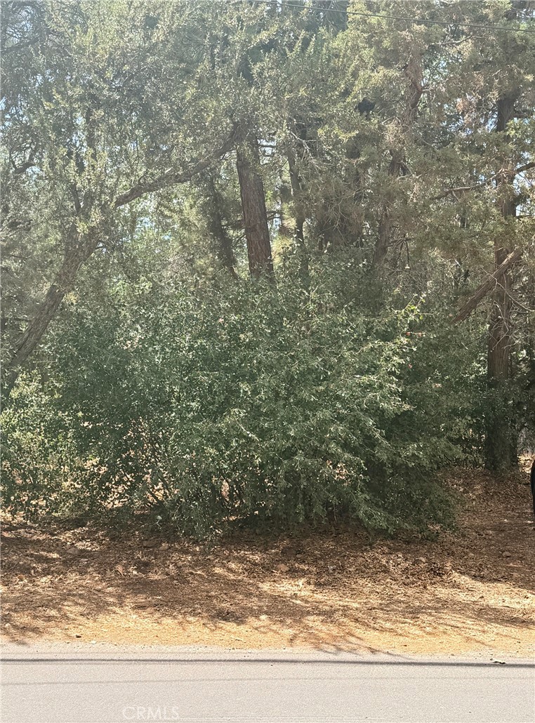 0 Imperial Avenue Property Photo 3
