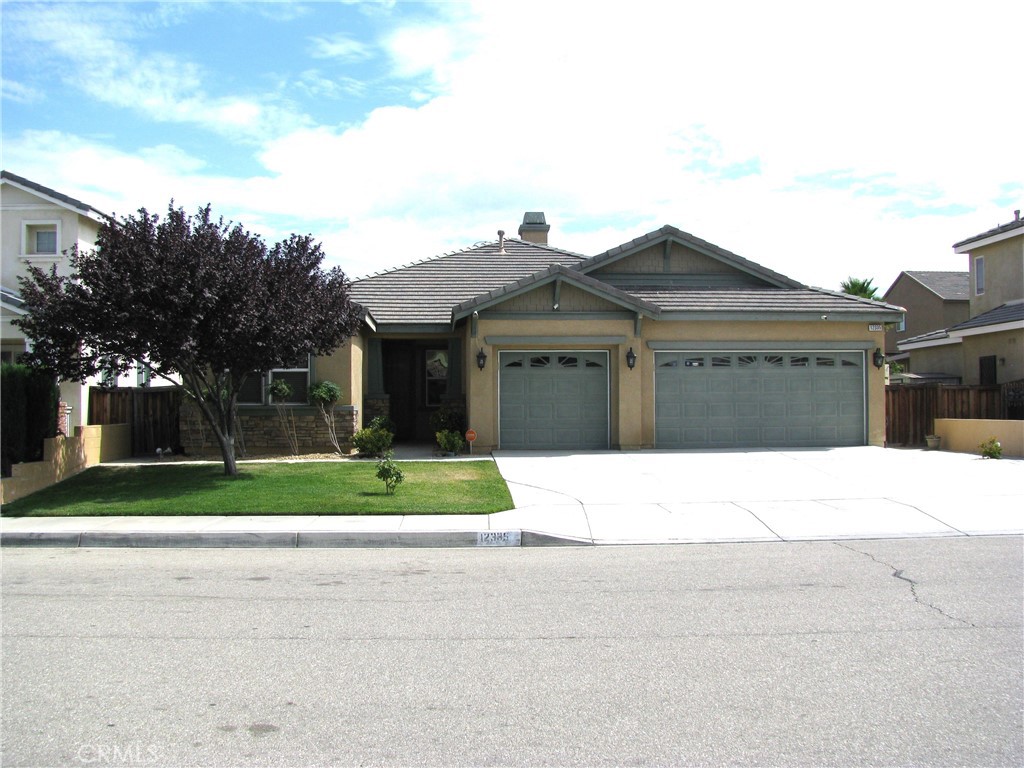 12335 Dandelion Way Property Photo 1