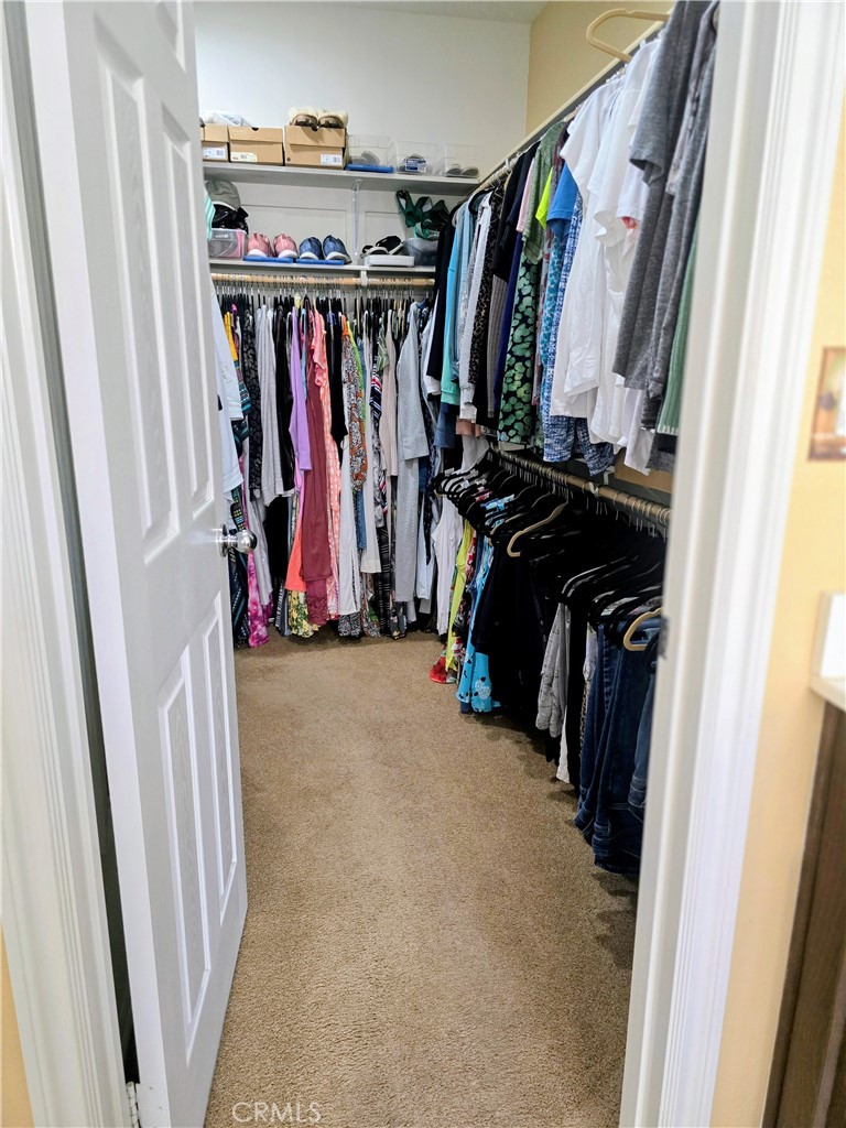 12335 Dandelion Way Property Photo 19