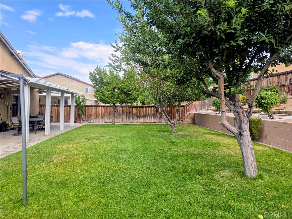 12335 Dandelion Way Property Photo 32