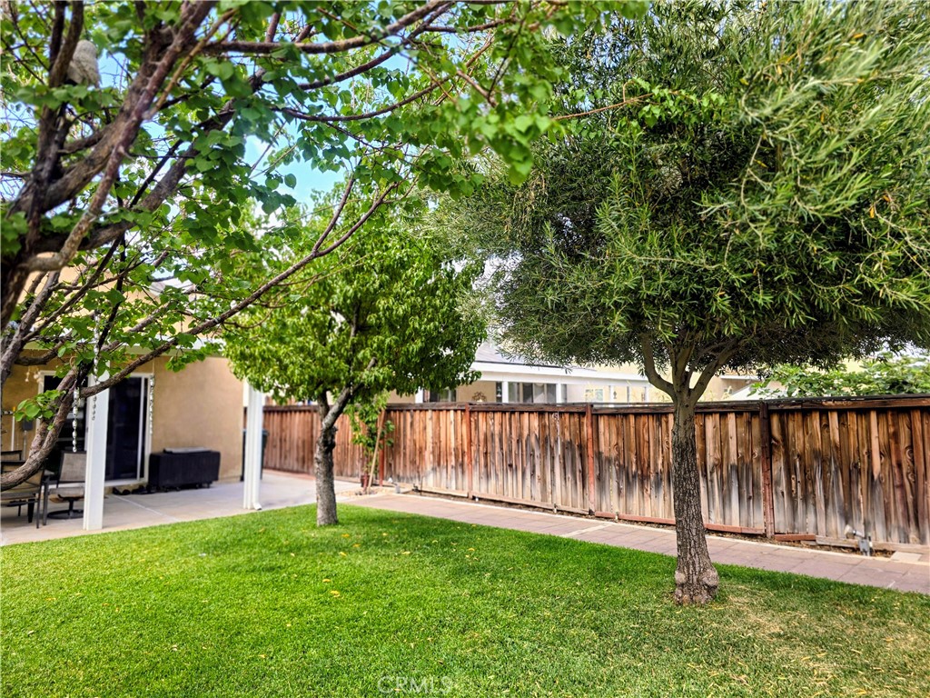 12335 Dandelion Way Property Photo 33