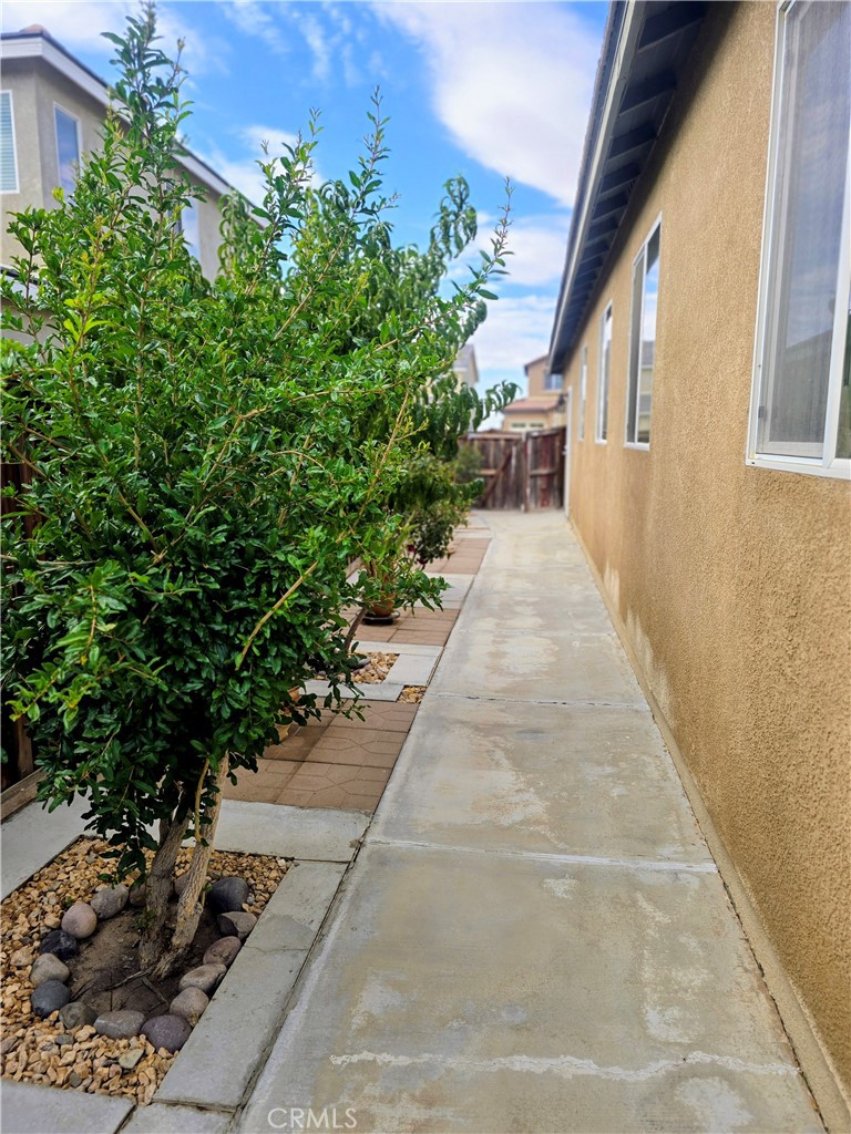 12335 Dandelion Way Property Photo 37