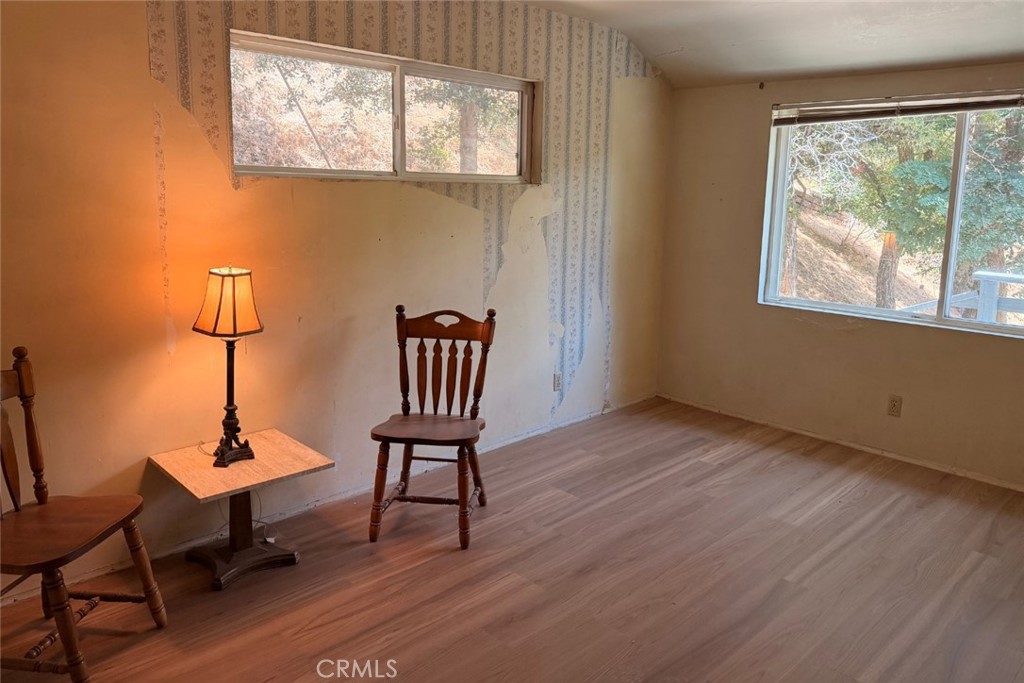 24687 San Moritz Property Photo 15
