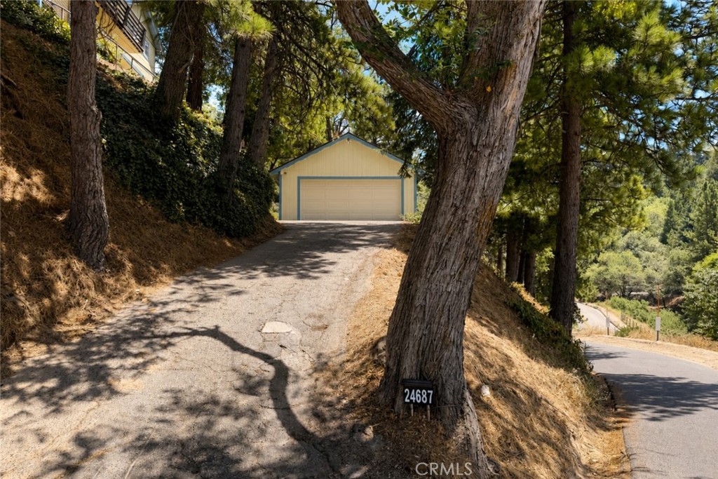 24687 San Moritz Property Photo 28