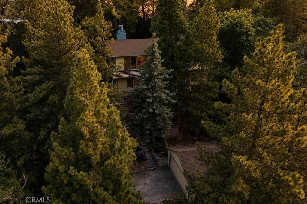 24687 San Moritz Property Photo 30