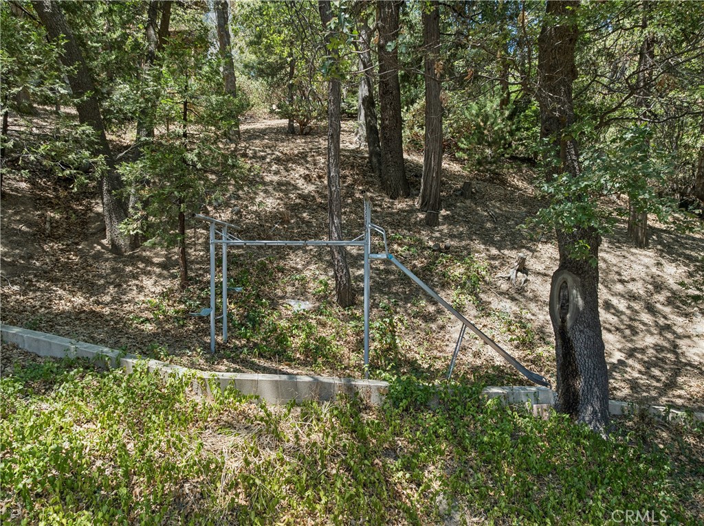 27376 Alpen Property Photo 34