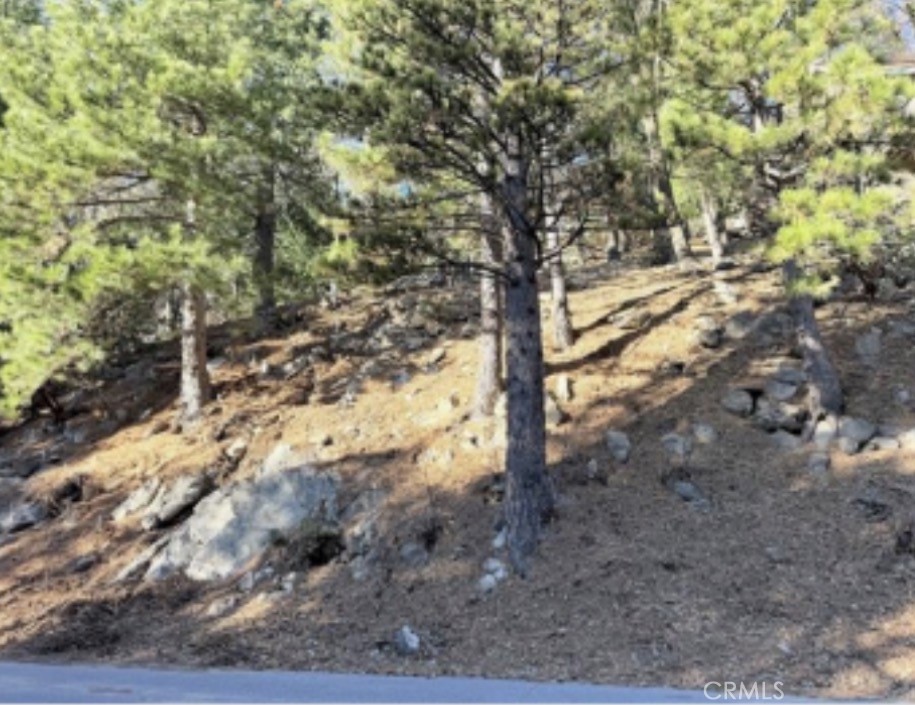 0 Thunderbird Property Photo 3