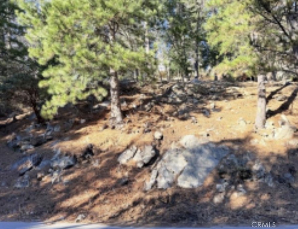 0 Thunderbird Property Photo 4