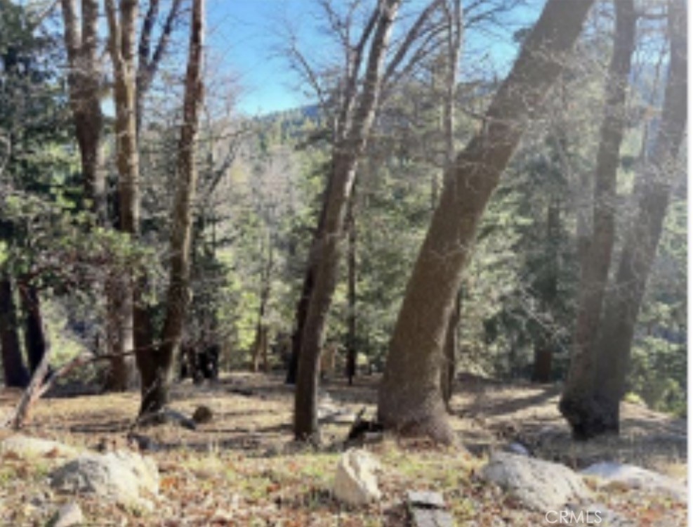 0 Thunderbird Property Photo 6