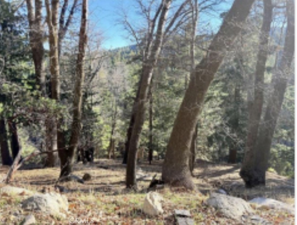 0 Thunderbird Property Photo 6