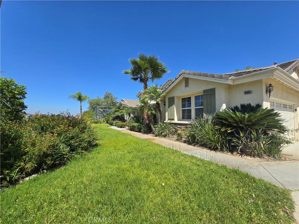16005 Regency Ranch Property Photo 7