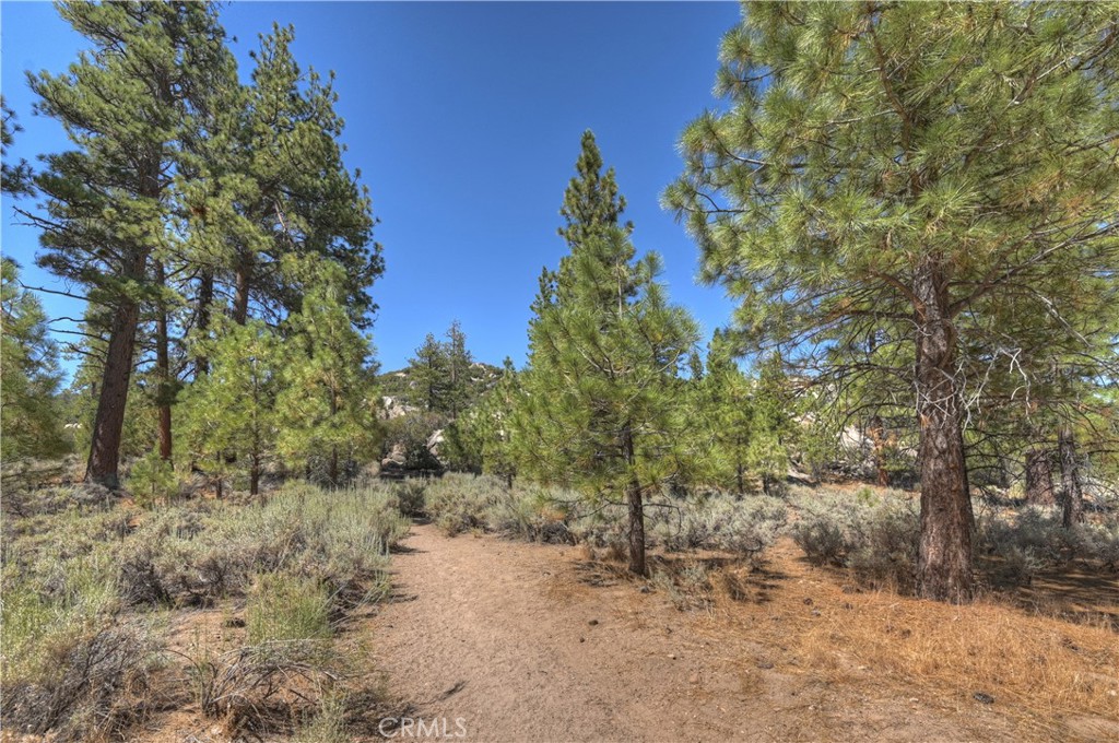 1124 Myrtle Avenue Property Photo 33