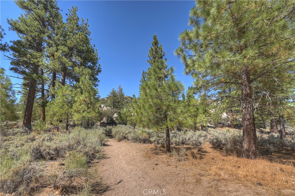 1124 Myrtle Avenue Property Photo 33