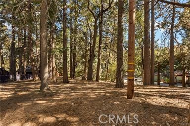 0 Valley View Property Photo 5