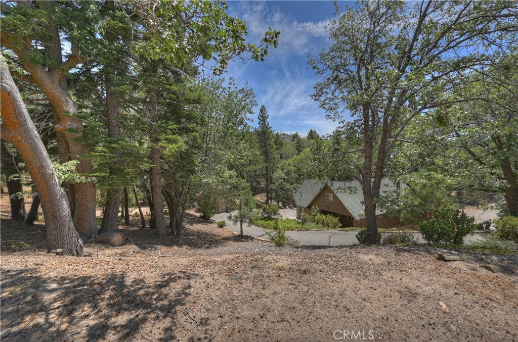 707 Briar Lane Property Photo 46