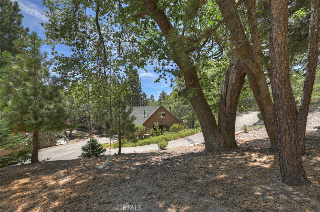 707 Briar Lane Property Photo 47
