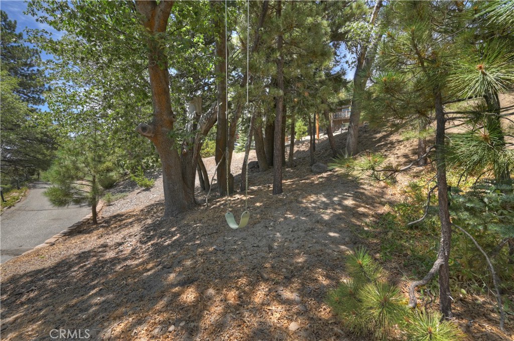 707 Briar Lane Property Photo 48