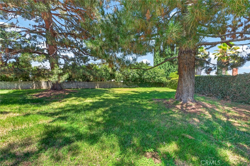 1410 Bella Vista Property Photo 33