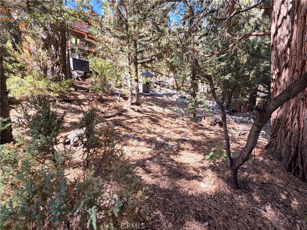 32778 Deer Lick Property Photo 35